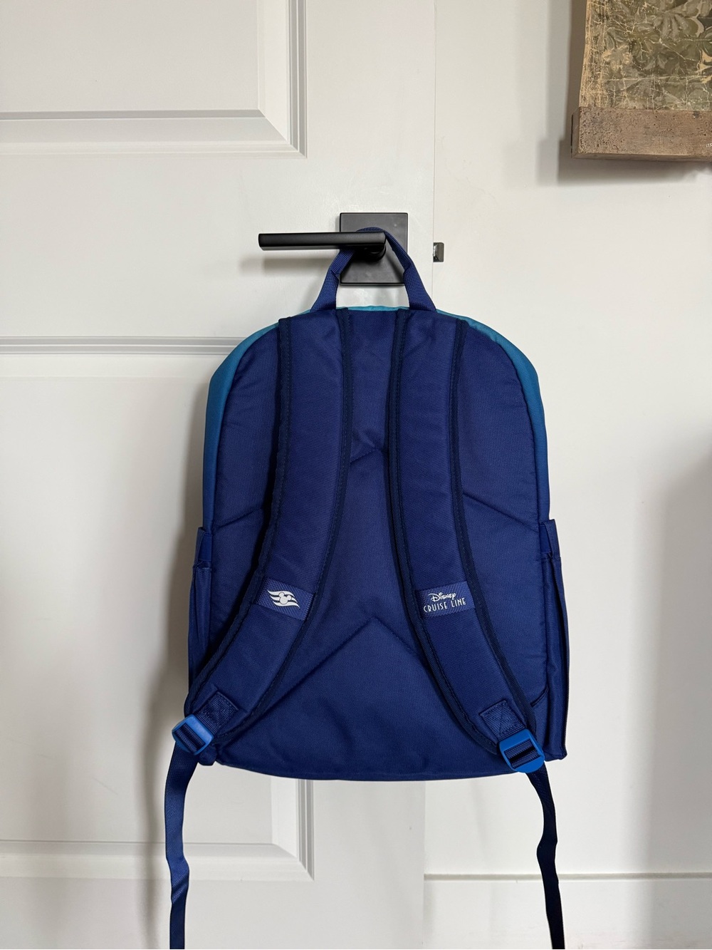 Disney Cruise Line DCL Castaway Club Backpack, New for 2026 - Adjustable Straps - Picture 4 of 5